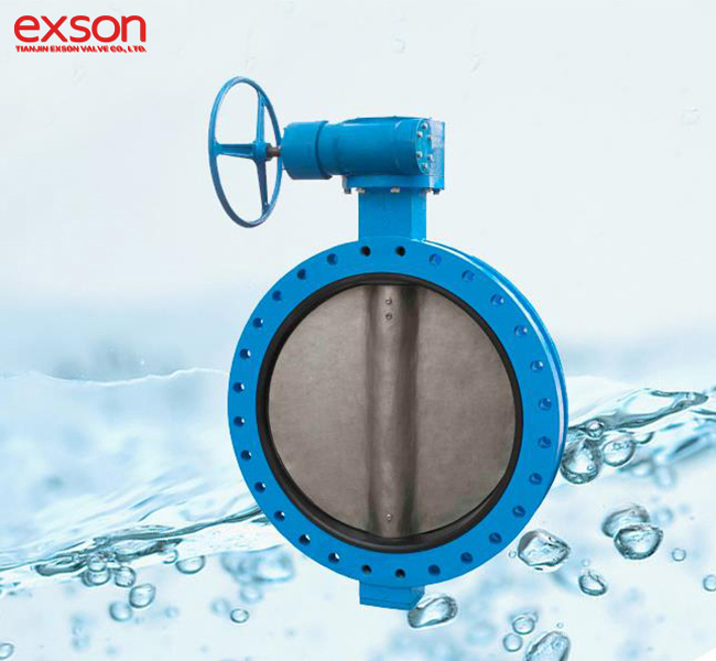 Concentric Butterfly Valve